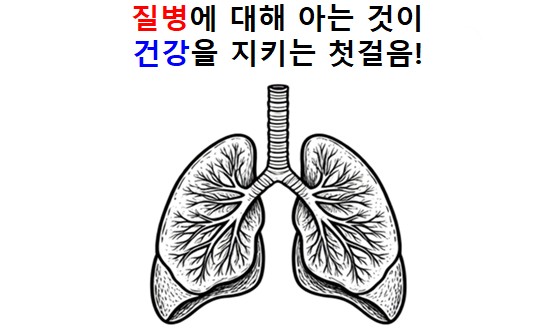 질병정보