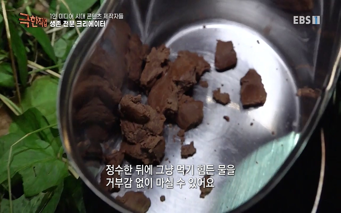 TV - 교육의 중심 EBS1인 미디어 시대 콘텐츠 제작자들.mp4_20220912_152909.455.jpg