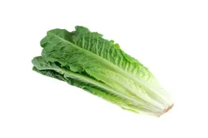 상추