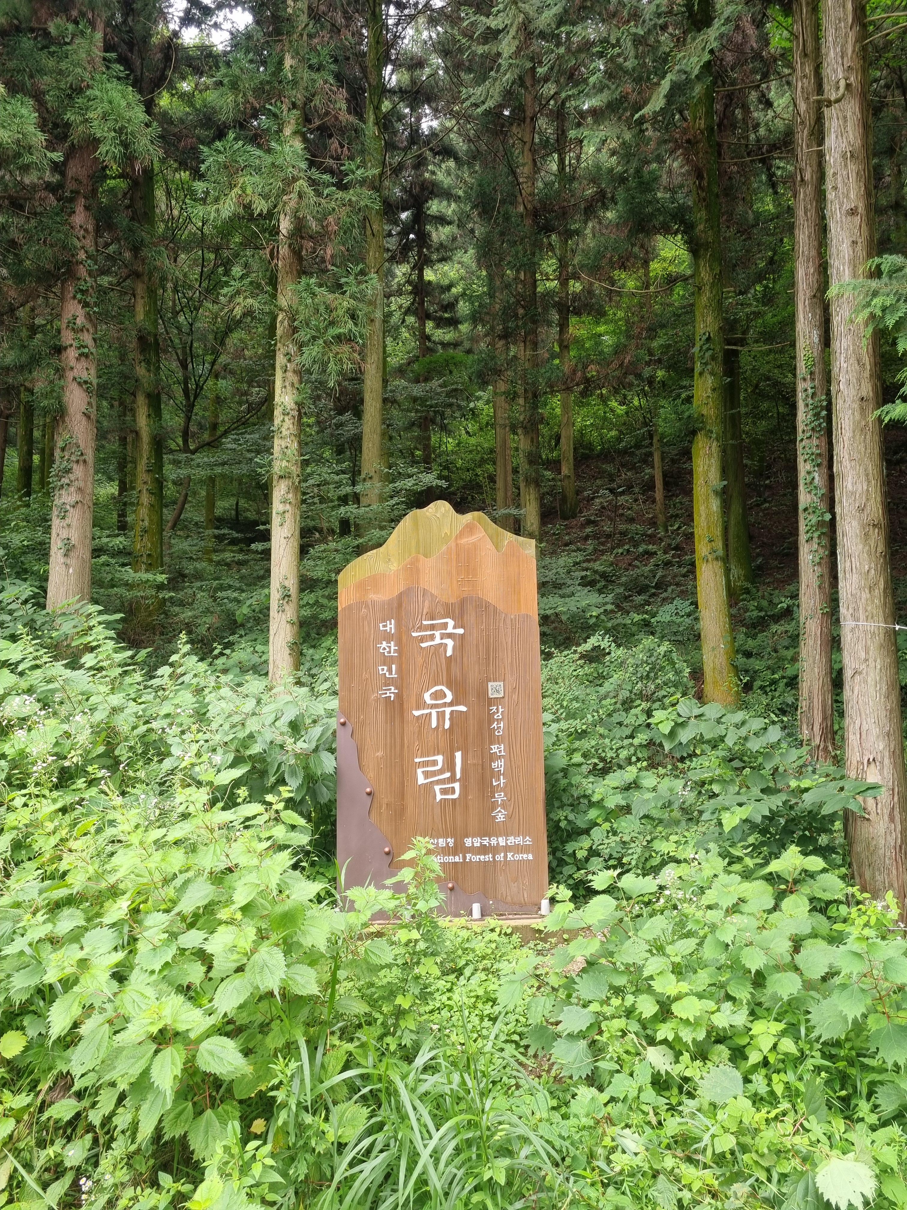 대한민국_국유림_팻말