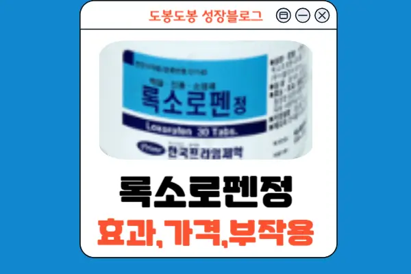 록소로펜정 안내 이미지