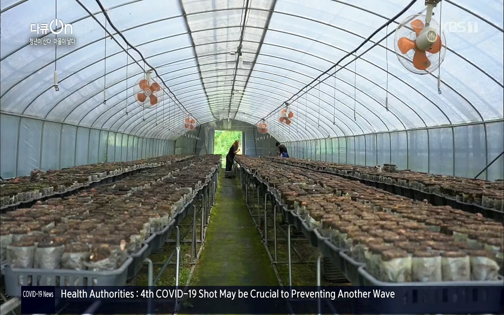 다큐 On.E146.220701p.H264-F1RST.mp4_20220704_205941.292.jpg