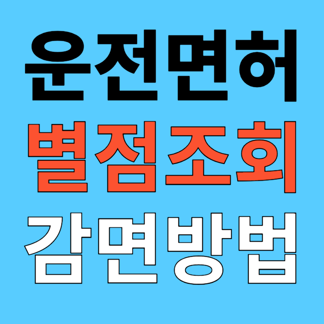 운전면허 벌점 조회 방법, 감면 방법