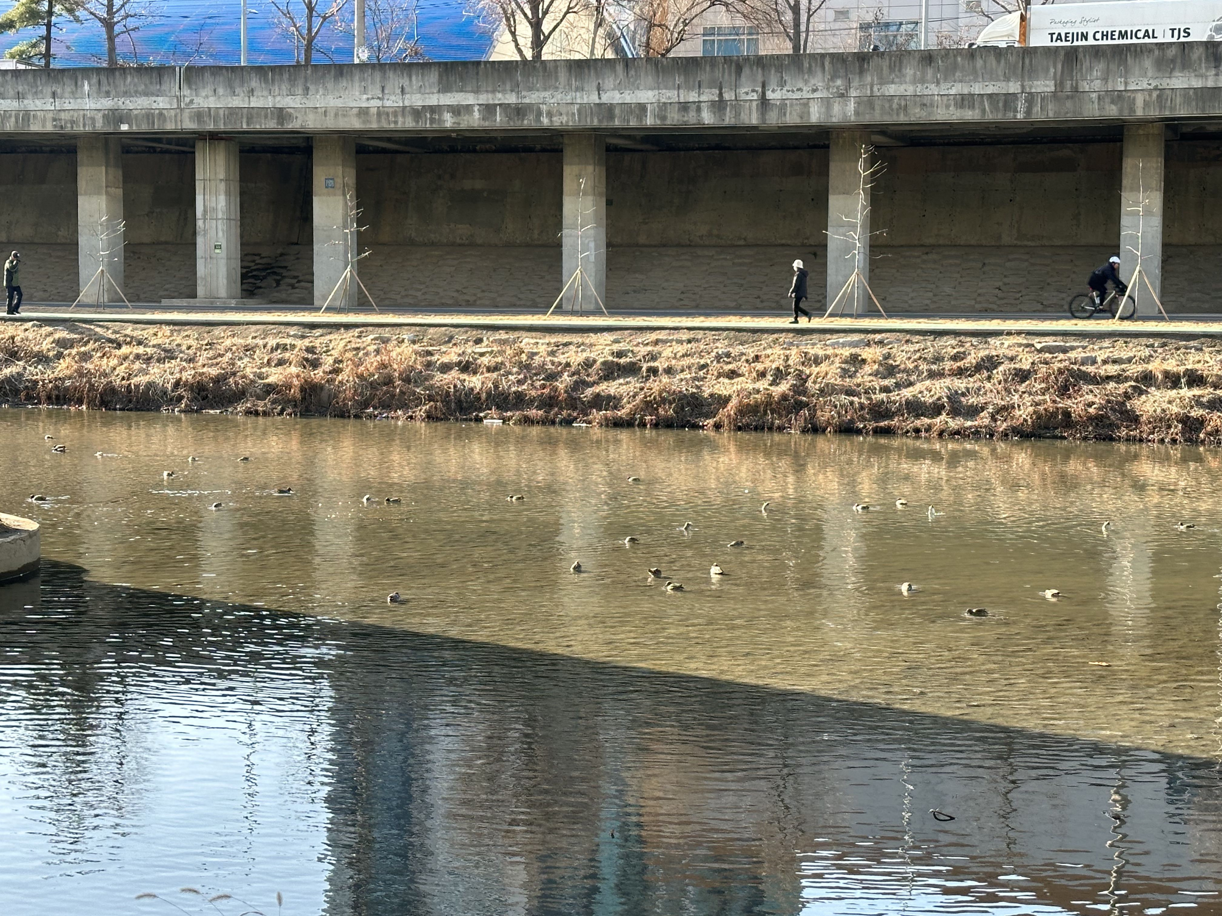 (주)도림 이미지