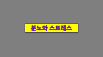  분노와 스트레스 해결책