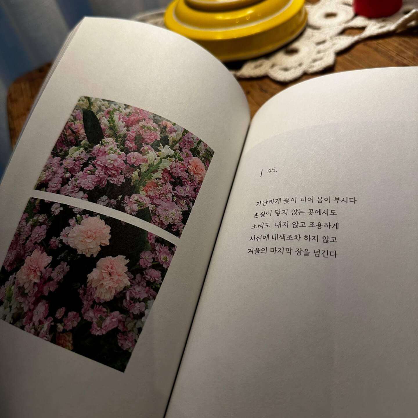 사랑시추천