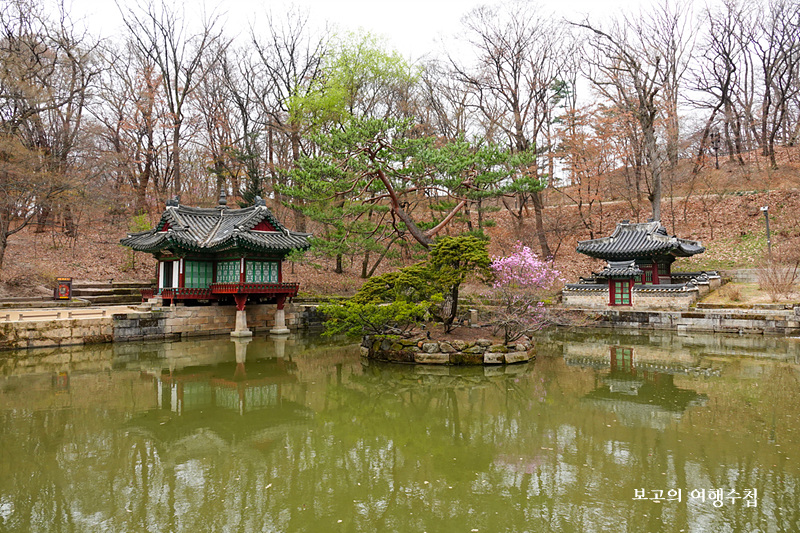 창덕궁 후원-부용정