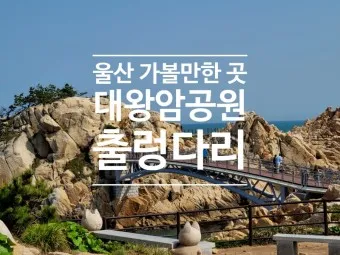 울산 가볼만한곳 베스트10 현지인 추천 필수코스_8