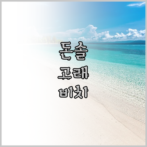 돈솔 고래 상어 인터랙션센터 근처 댄