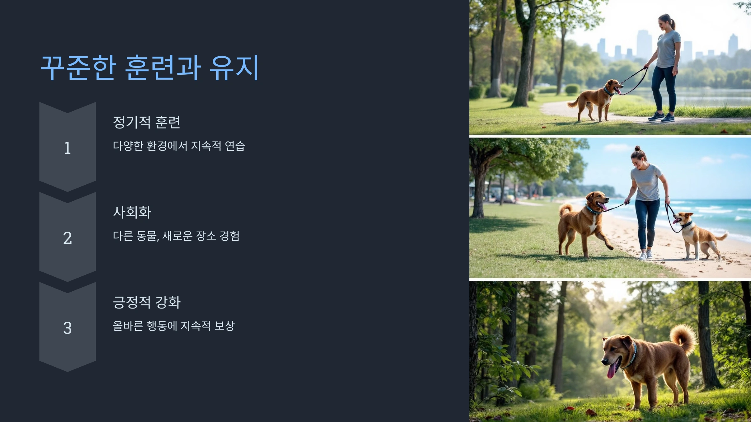 강아지가 리드줄 없이 따라오는 훈련법