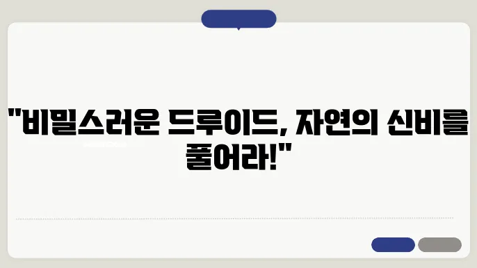 드루이드와 자연 숭배