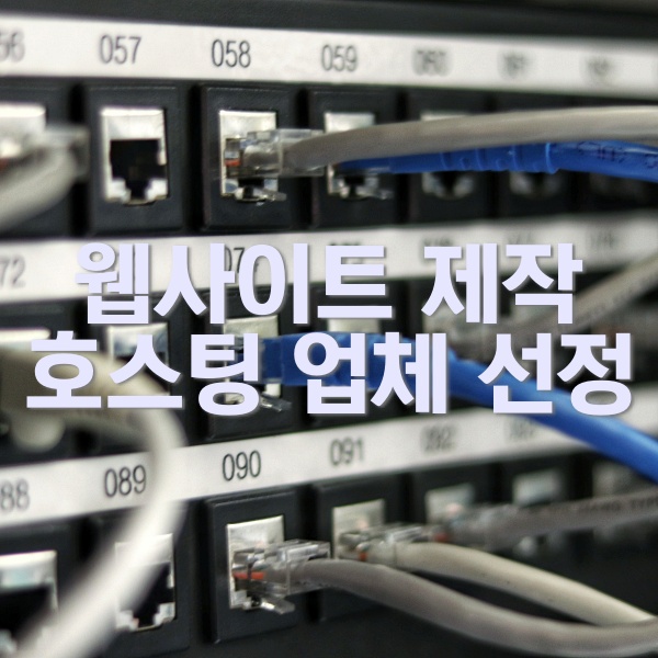  웹사이트 제작 -호스팅 업체 선정