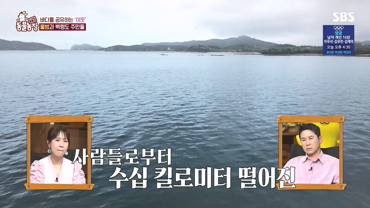 TV 동물농장.E1183.240805p-NEXT.mp4_20240804_154958.675.jpg
