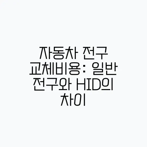 자동차 전구 교체비용: 일반 전구와 HID의 차이