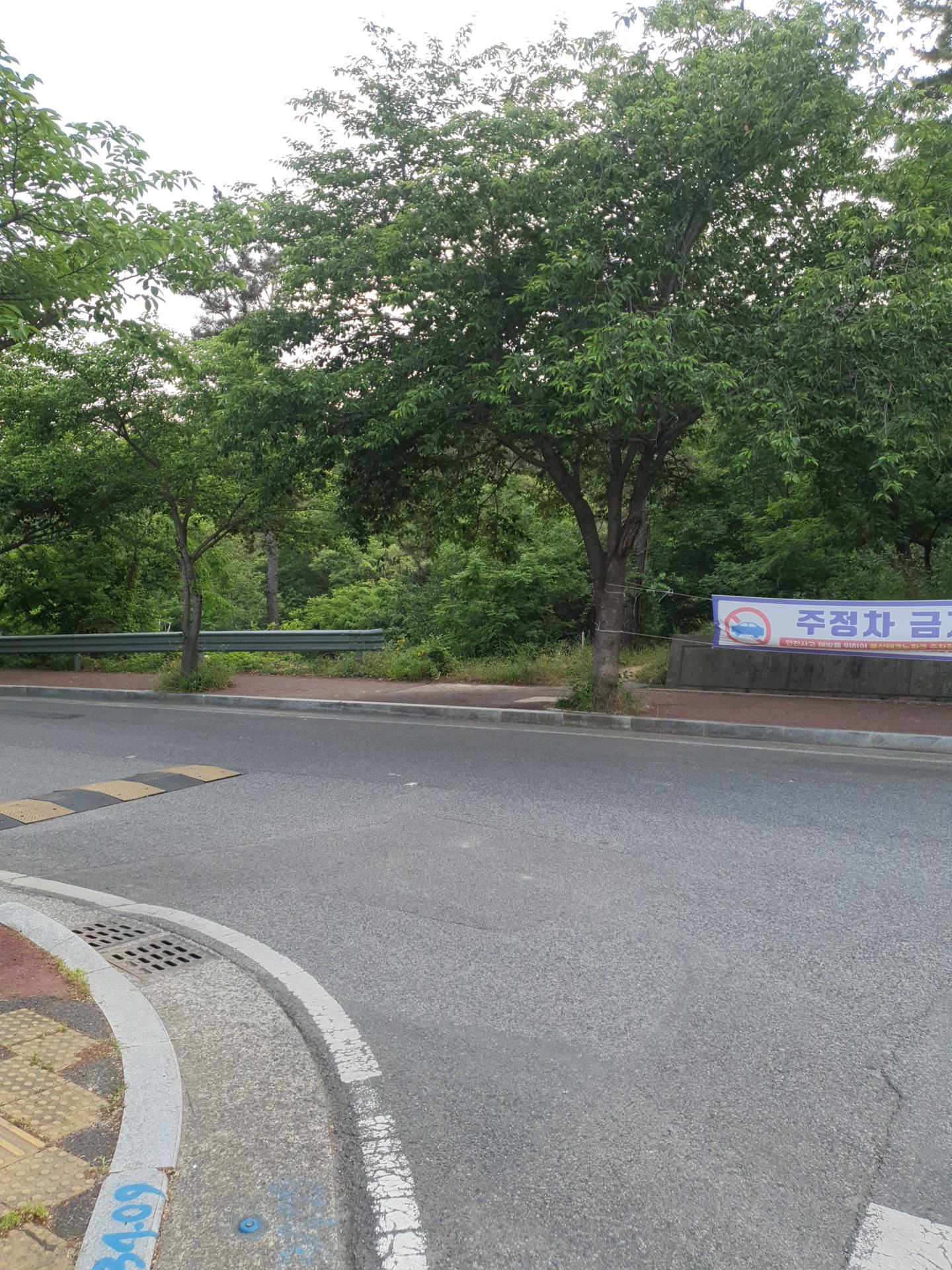 20220526_184640.jpg