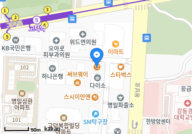 서울 강동구 명일동 일요일 진료 휴일 문 여는 병원