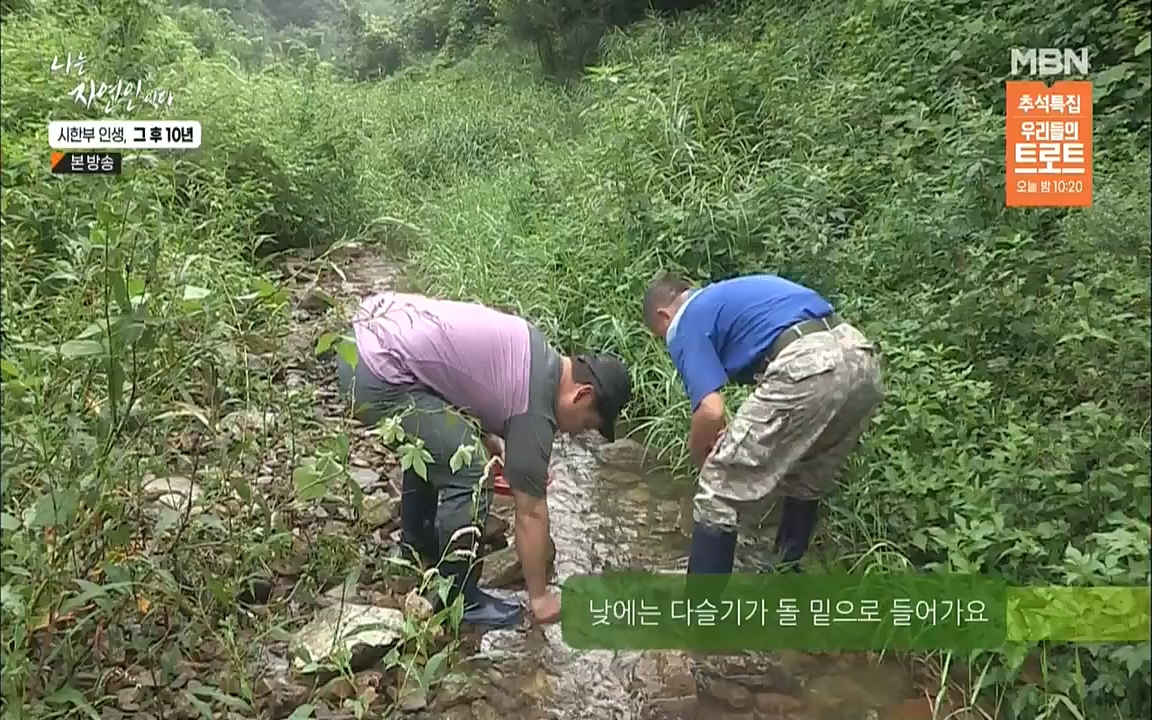 나는 자연인이다.E518.220908p.WANNA.mp4_20220908_200816.655.jpg