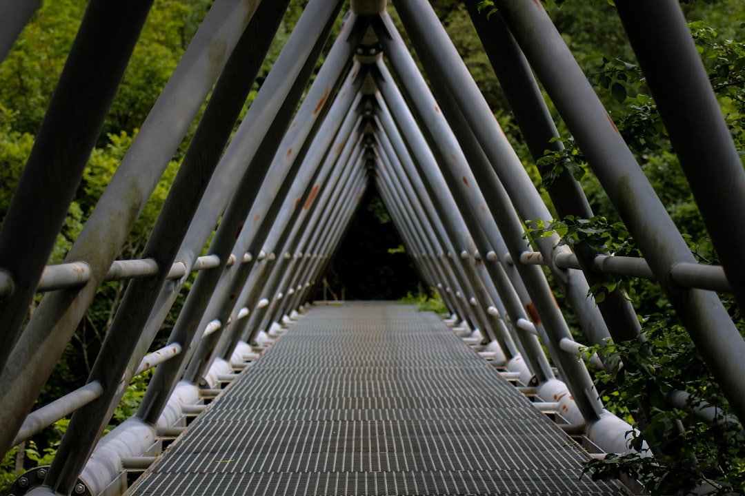 Pathway
