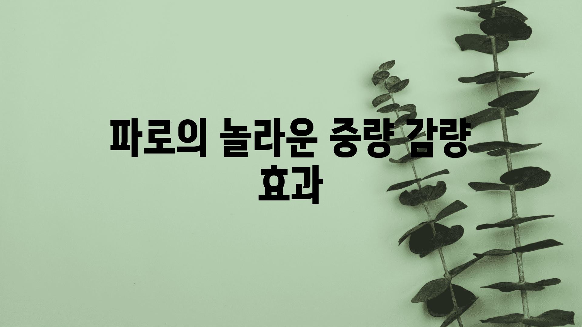 파로의 놀라운 중량 감량 효과