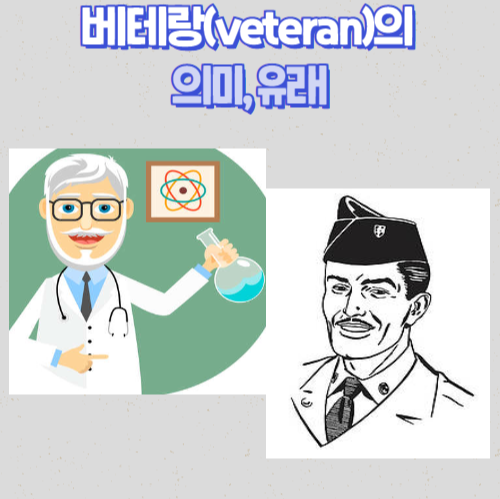 베테랑(veteran)의 의미&#44; 유래