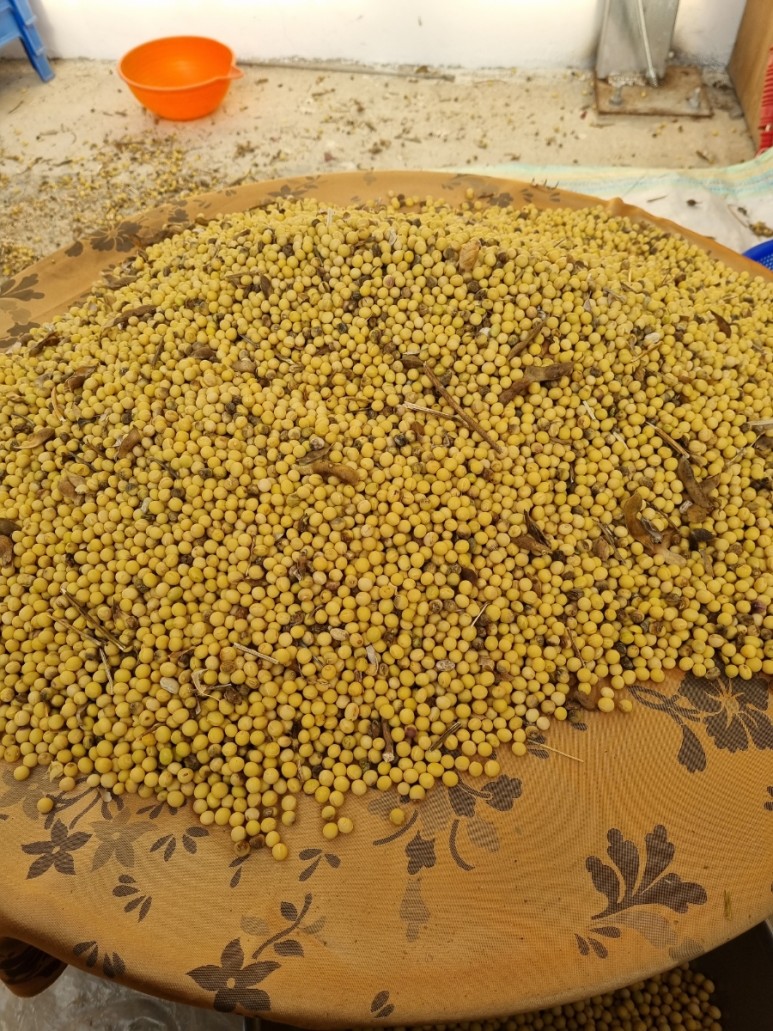 산삼할배 농장에서는 2