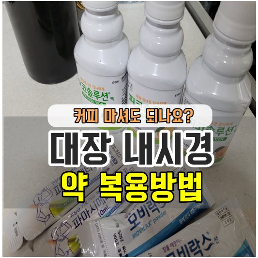 대장 내시경 약 복용방법