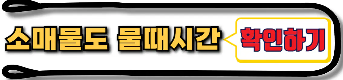 소매물도 물때시간