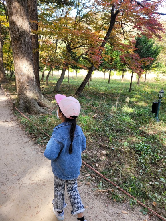 네소사 단풍 아이와 가족들이 w. 고사포 해수욕장 전북의 볼거리, 부안 25