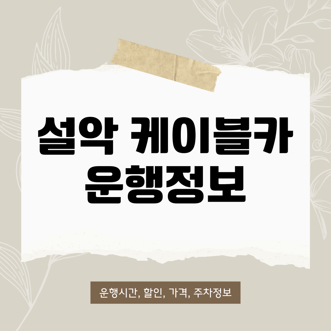 설악 케이블카 운행정보