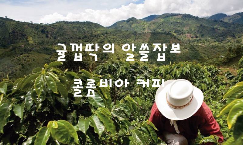 알고마시면 더욱 맛있게 먹는 커피 - 콜롬비아 커피