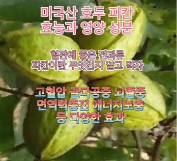 미국산-호두-피칸-효능-성분