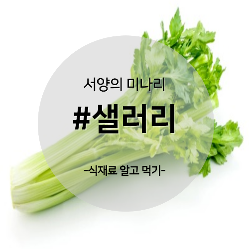  알고 먹기 29. #샐러리