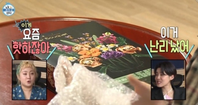  나혼자산다   화사 할머니 집에서 레고 블록꽃놀이