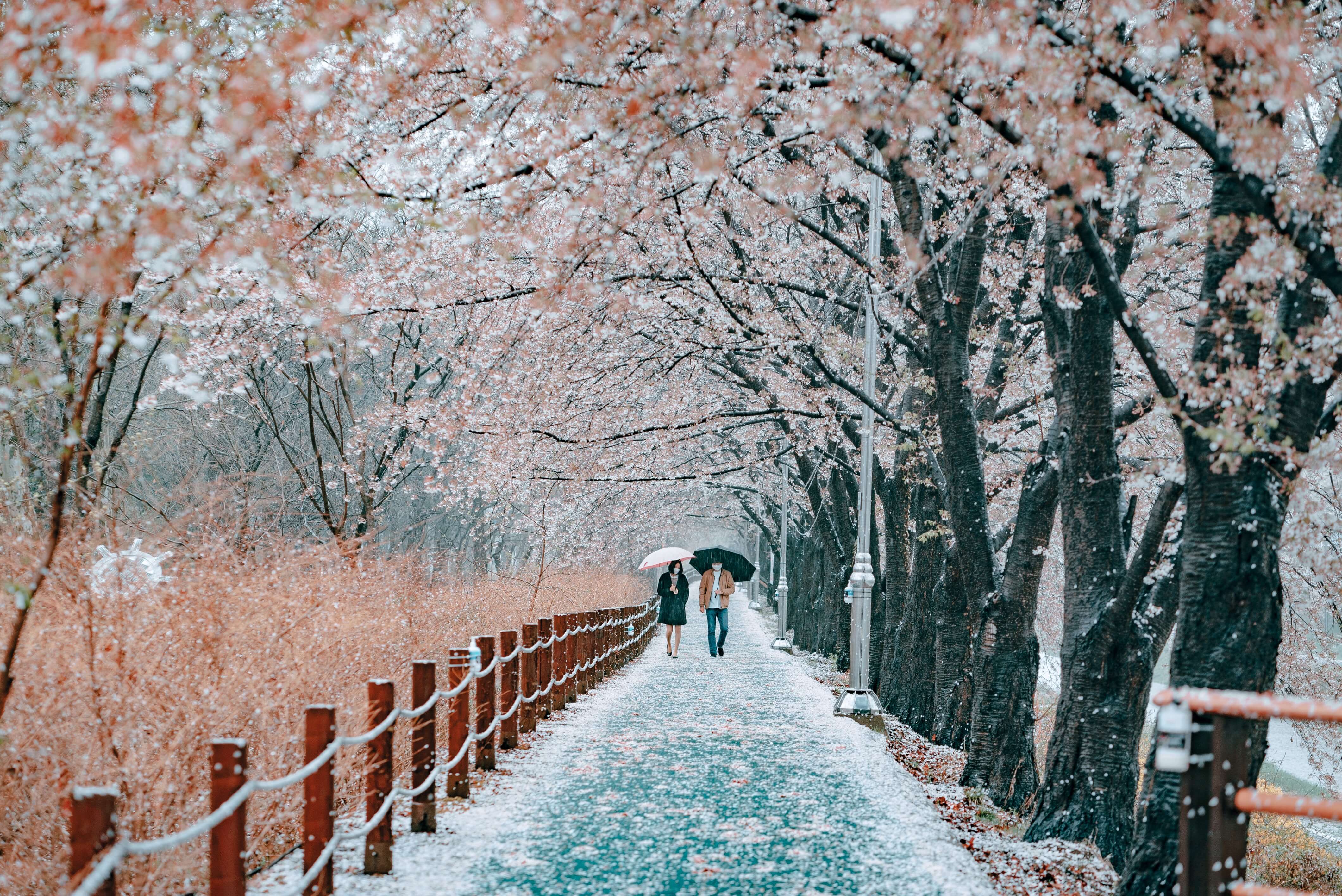 서울이미지