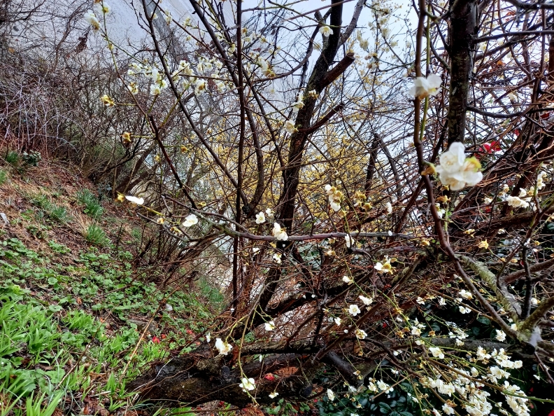 img.jpg