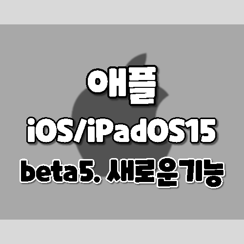 애플 iOS 15 및 iPadOS 15 베타 5_ 새로운 기능 정리