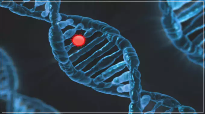 생명공학-설명-이미지-DNA