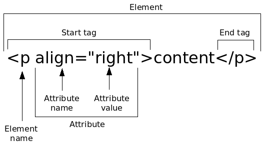 XML, HTML, XPATH 기본 개념