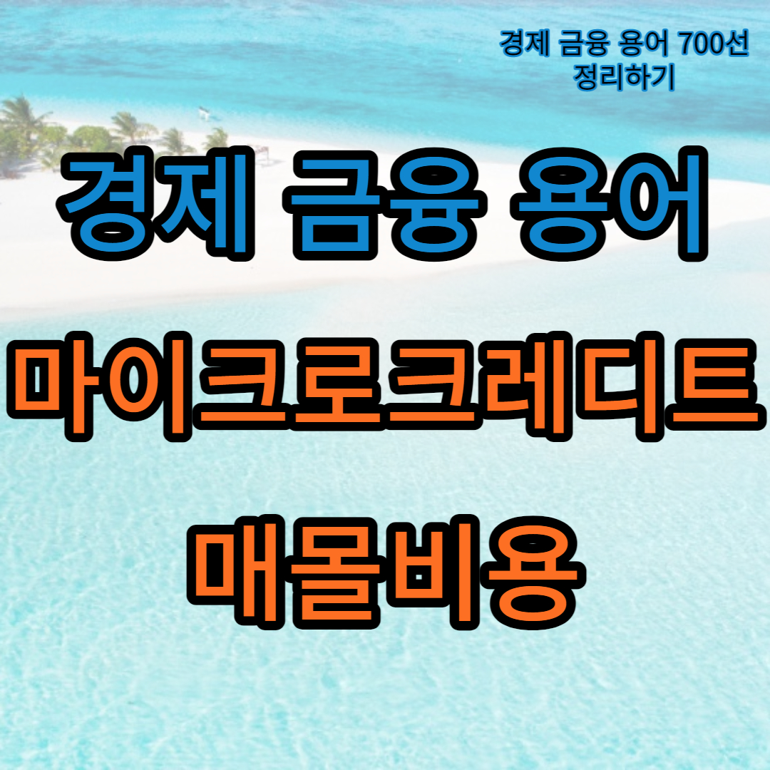 마이크로크레디트_매몰비용