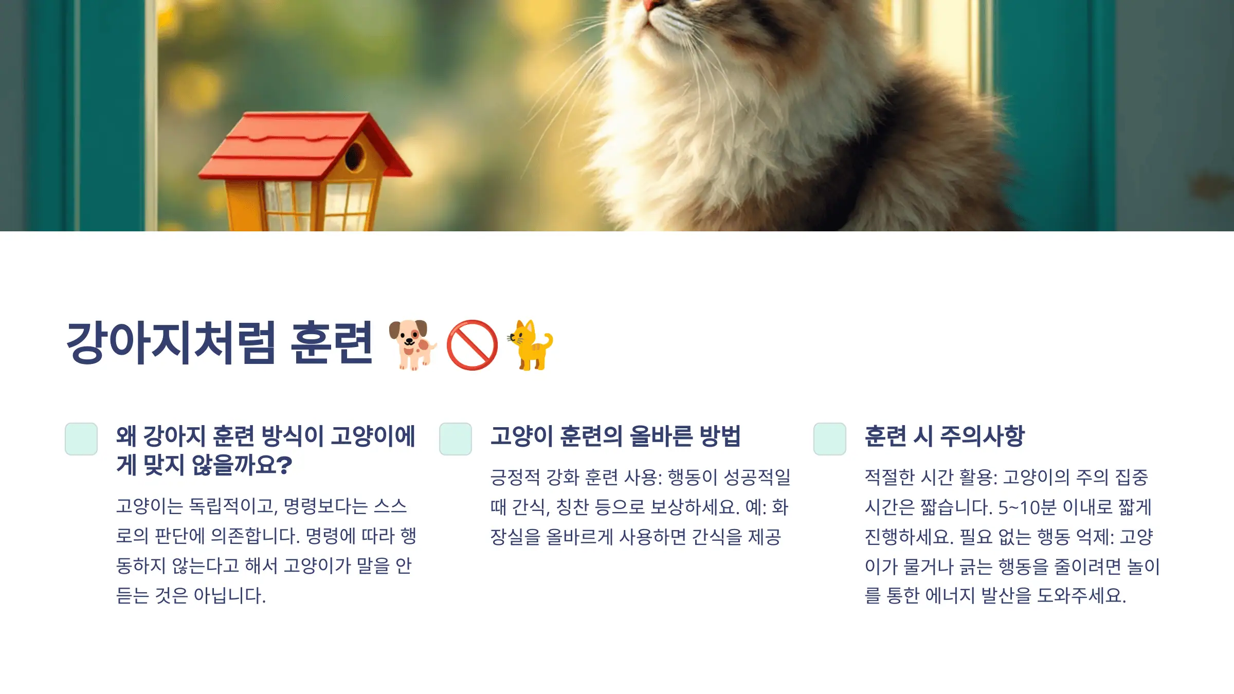 강아지처럼 훈련