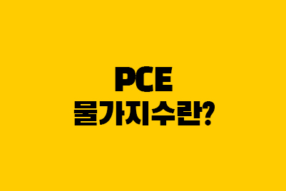  미국 PCE 발표 시간, 물가지수 PCE·CPI  차이는?
