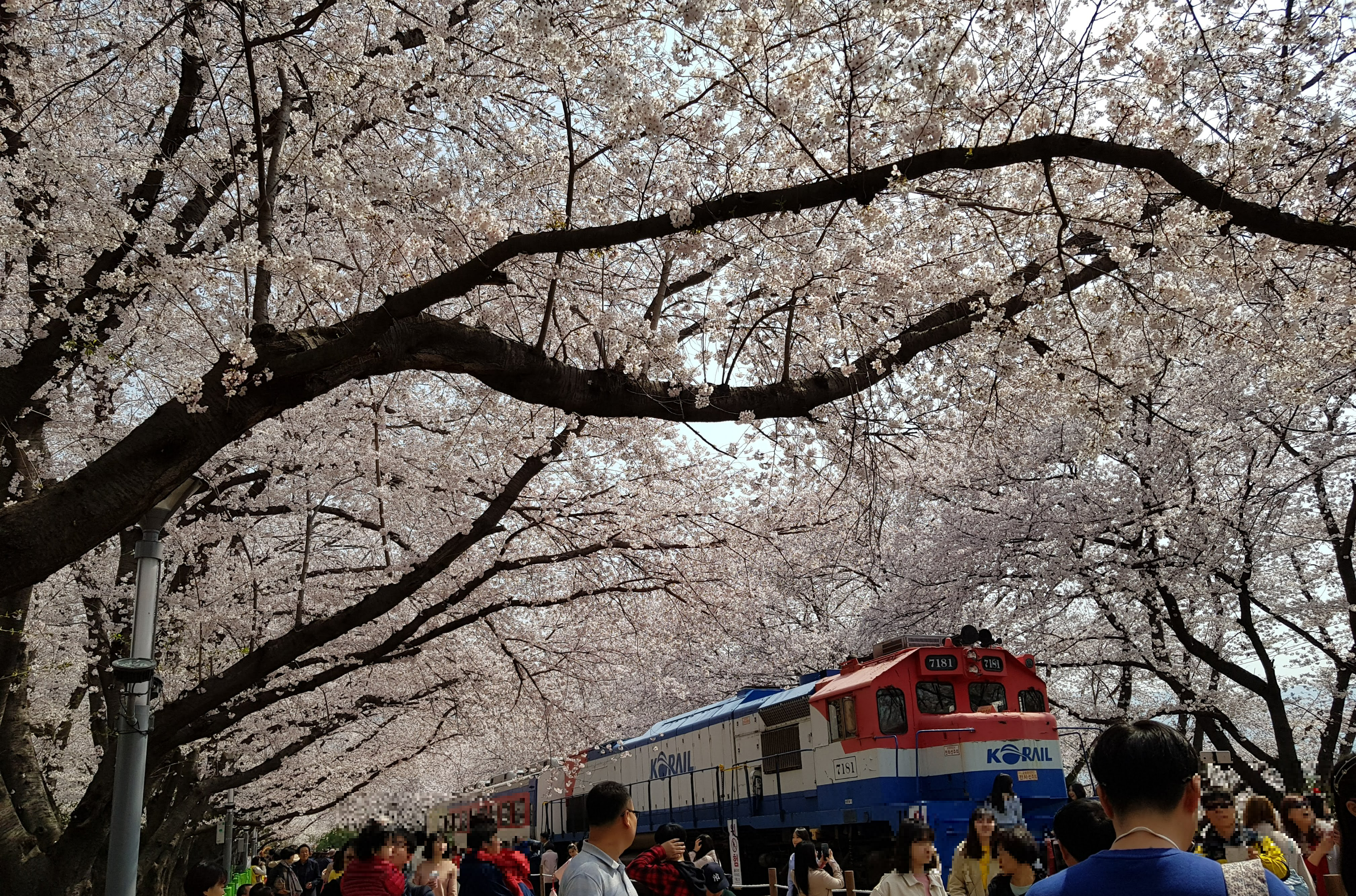 경화역 열차 들어오는 사진