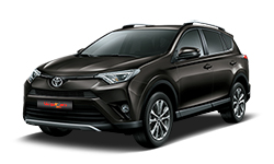 RAV4 색상코드 - Dark Brown Metallic(색상코드 : 4U5)