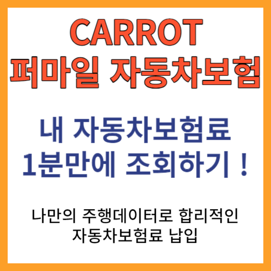  캐롯 퍼마일 자동차보험 가입하기 < 나만의 주행 데이터로 스마트하고 저렴하게 자동차 보험 이용하세요 ! >