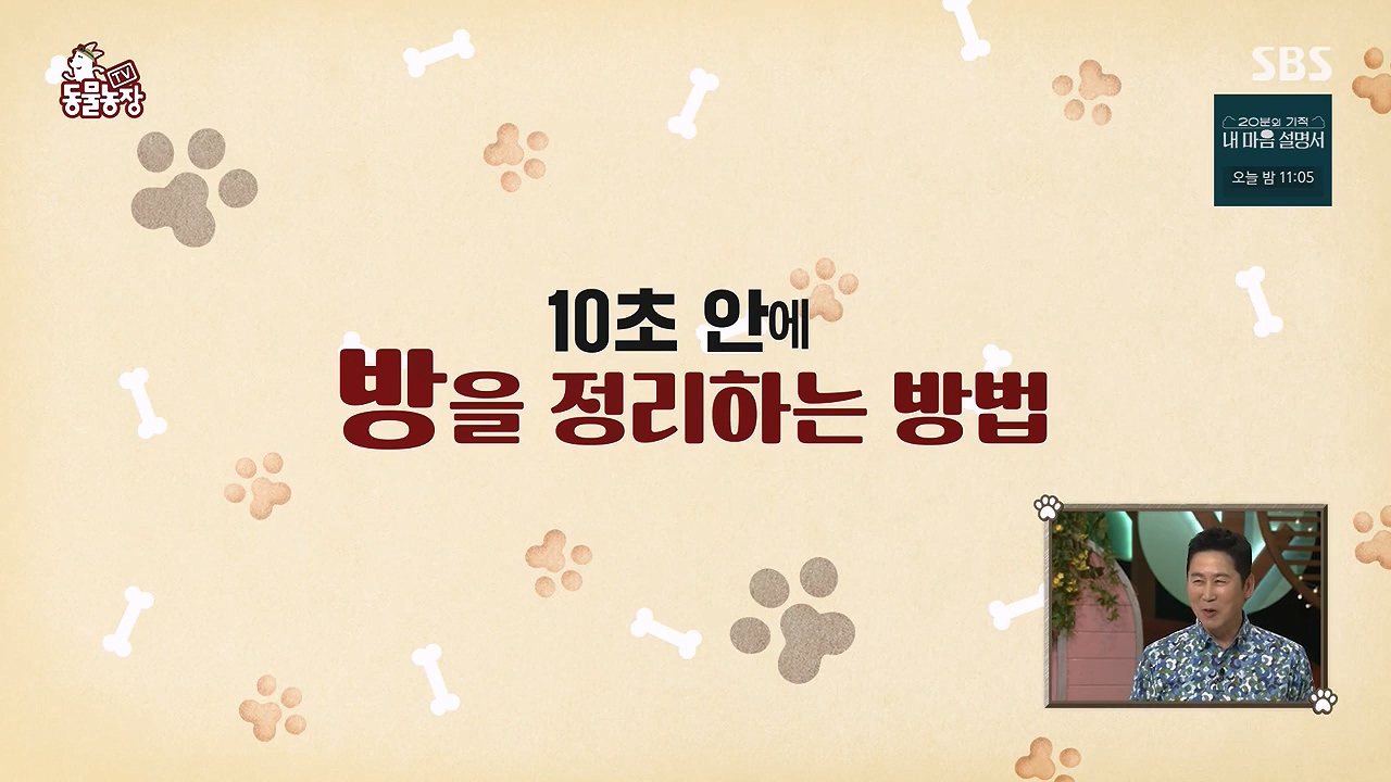 TV 동물농장.E1172.240520p-NEXT.mp4_20240519_162158.345.jpg