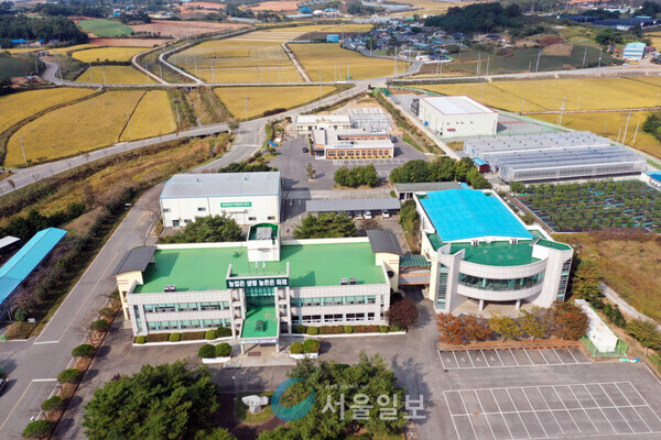 청년농장 이미지