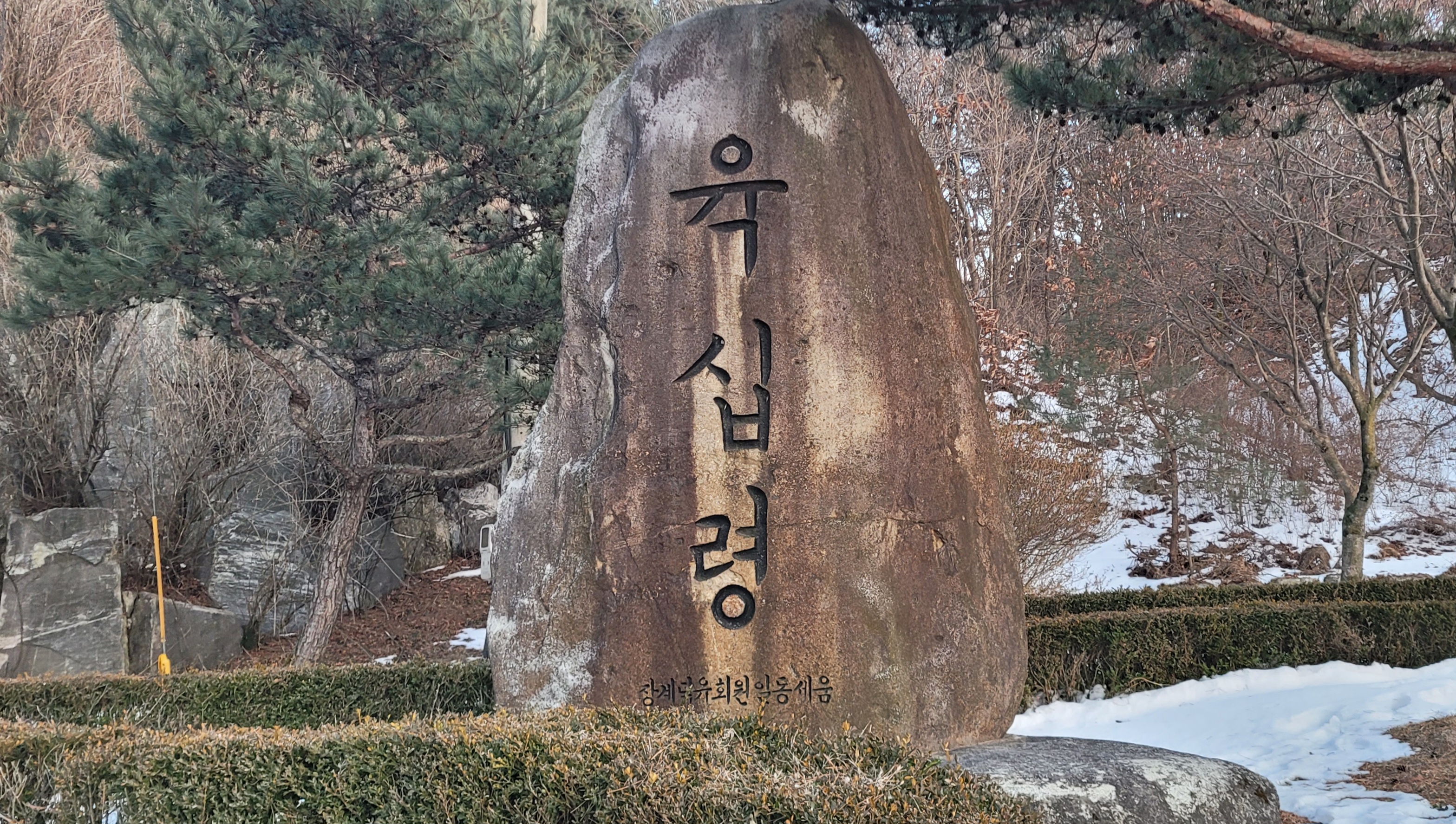 세중주 이미지