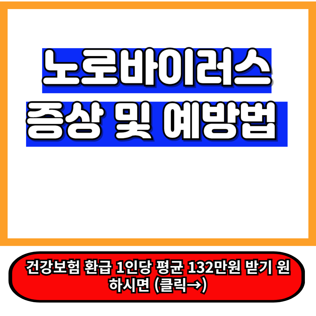 노로바이러스 증상 및 감염 경로 – 빠르게 퍼지는 원인과 예방법 1