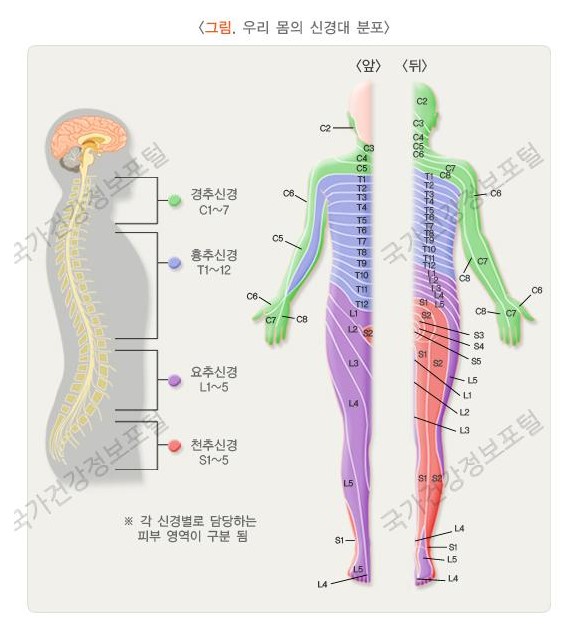 대상포진 초기증상 과 치료방법 예방접종