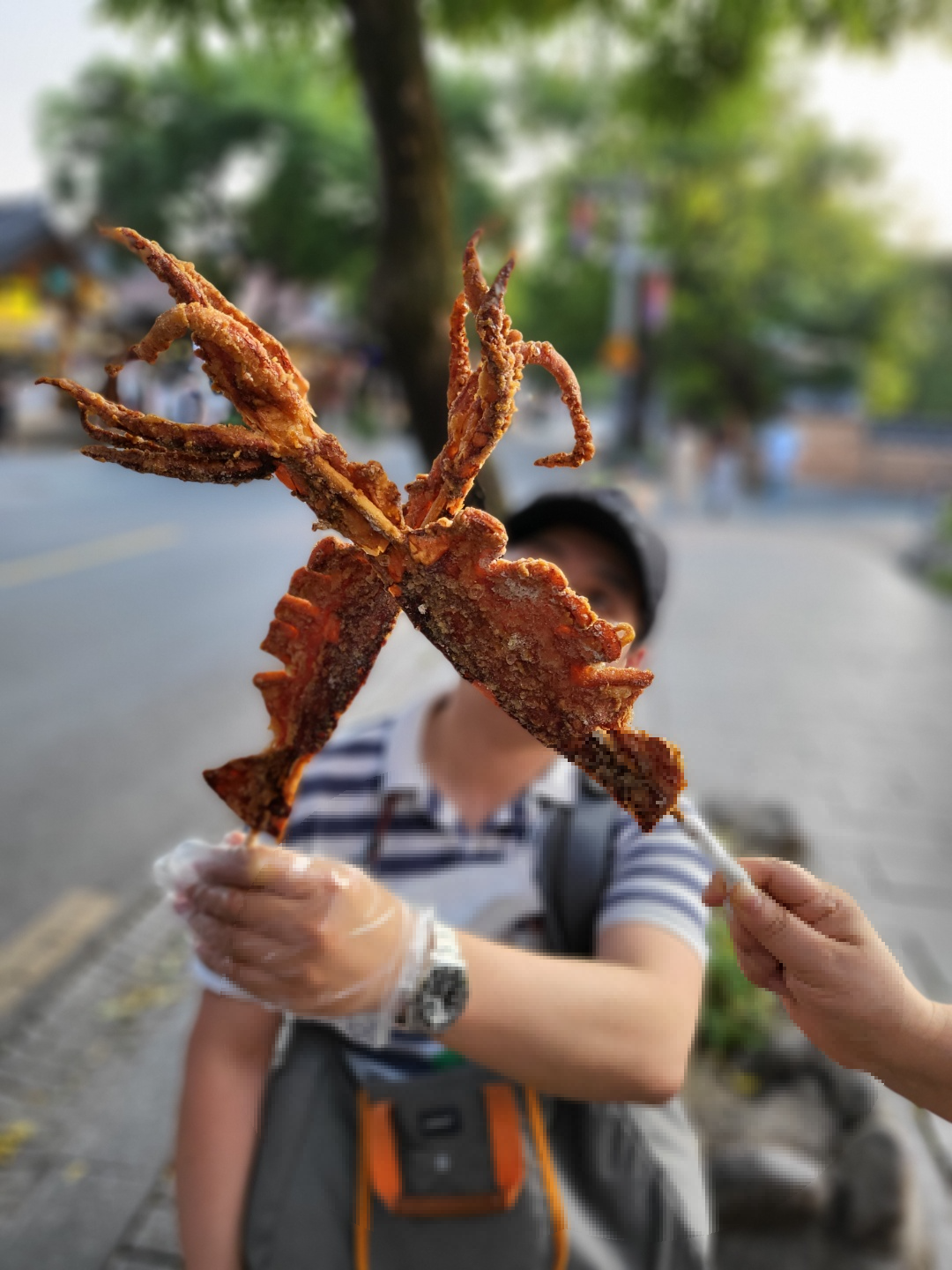 전주 애견동반 카페 식당